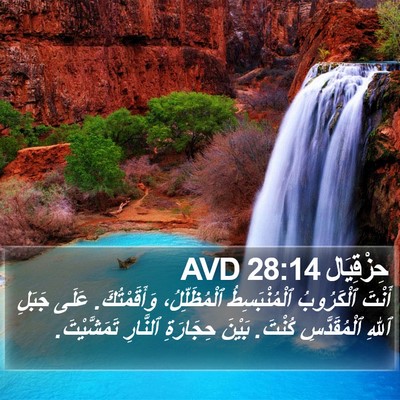 حِزْقِيَال 28:14 AVD Bible Verse Image