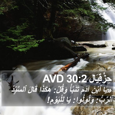 حِزْقِيَال 30:2 AVD Bible Verse Image