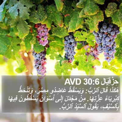 حِزْقِيَال 30:6 AVD Bible Verse Image
