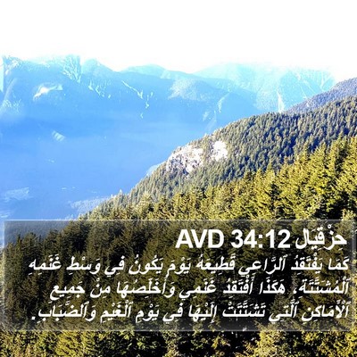 حِزْقِيَال 34:12 AVD Bible Verse Image