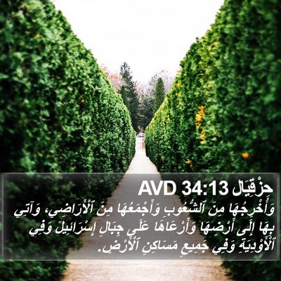حِزْقِيَال 34:13 AVD Bible Verse Image