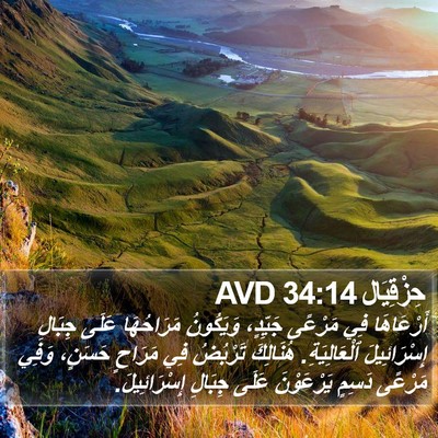 حِزْقِيَال 34:14 AVD Bible Verse Image