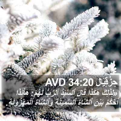 حِزْقِيَال 34:20 AVD Bible Verse Image