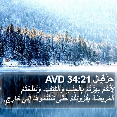 حِزْقِيَال 34:21 AVD Bible Verse Image