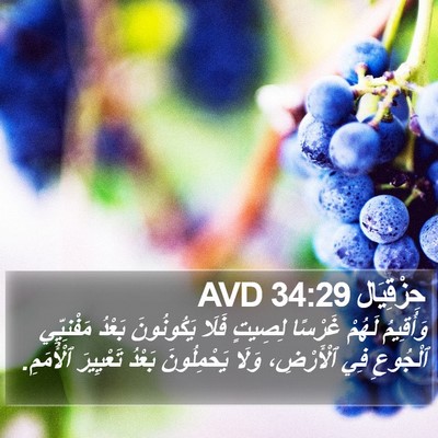 حِزْقِيَال 34:29 AVD Bible Verse Image