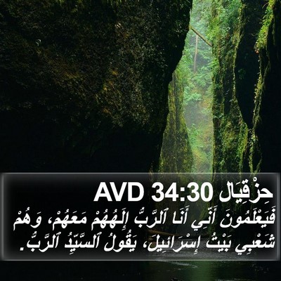 حِزْقِيَال 34:30 AVD Bible Verse Image