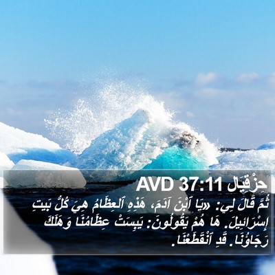 حِزْقِيَال 37:11 AVD Bible Verse Image