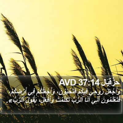 حِزْقِيَال 37:14 AVD Bible Verse Image