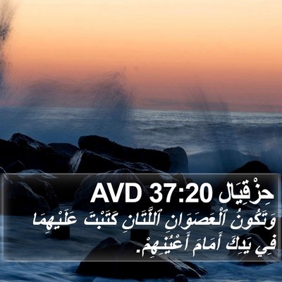 حِزْقِيَال 37:20 AVD Bible Verse Image