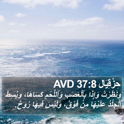 حِزْقِيَال 37:8 AVD Bible Verse Image