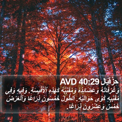 حِزْقِيَال 40:29 AVD Bible Verse Image