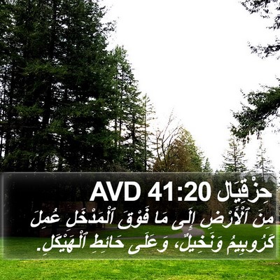 حِزْقِيَال 41:20 AVD Bible Verse Image