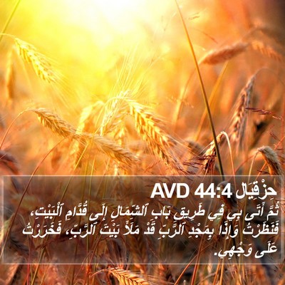 حِزْقِيَال 44:4 AVD Bible Verse Image