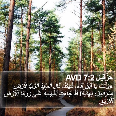 حِزْقِيَال 7:2 AVD Bible Verse Image