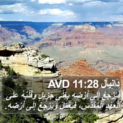 دَانِيآل 11:28 AVD Bible Verse Image