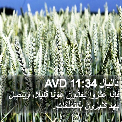 دَانِيآل 11:34 AVD Bible Verse Image
