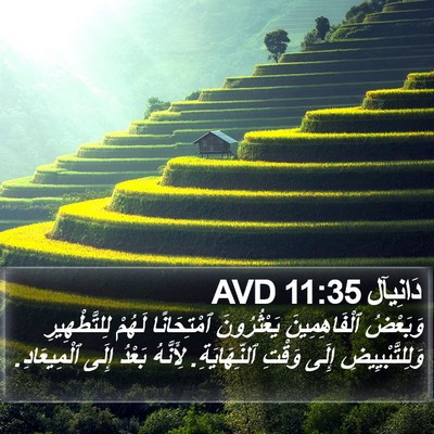 دَانِيآل 11:35 AVD Bible Verse Image