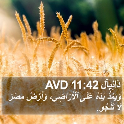 دَانِيآل 11:42 AVD Bible Verse Image
