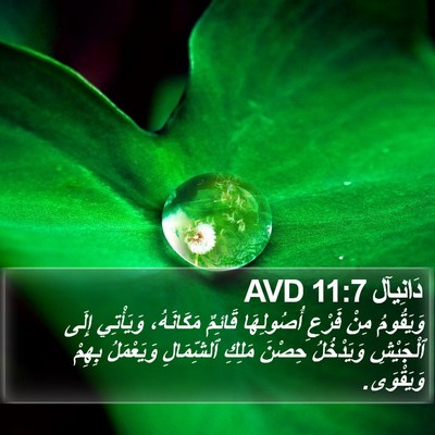 دَانِيآل 11:7 AVD Bible Verse Image