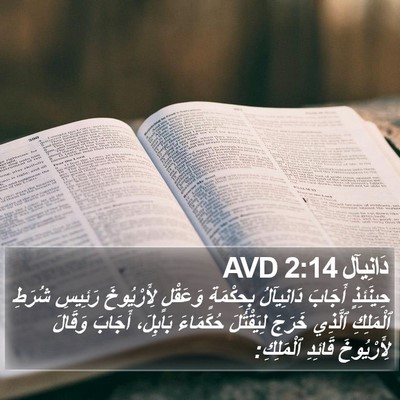 دَانِيآل 2:14 AVD Bible Verse Image