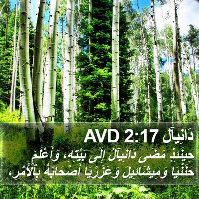 دَانِيآل 2:17 AVD Bible Verse Image