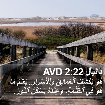 دَانِيآل 2:22 AVD Bible Verse Image