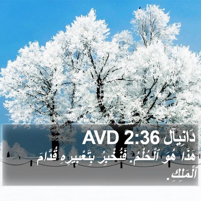 دَانِيآل 2:36 AVD Bible Verse Image