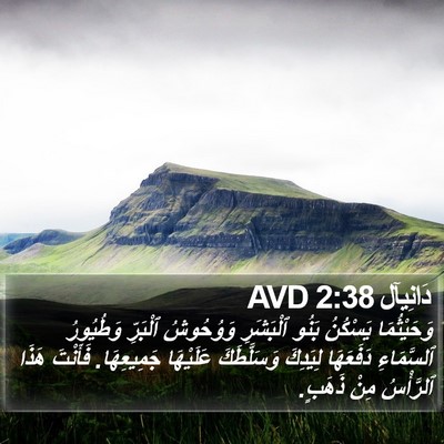 دَانِيآل 2:38 AVD Bible Verse Image