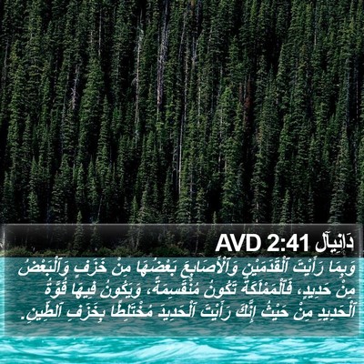 دَانِيآل 2:41 AVD Bible Verse Image