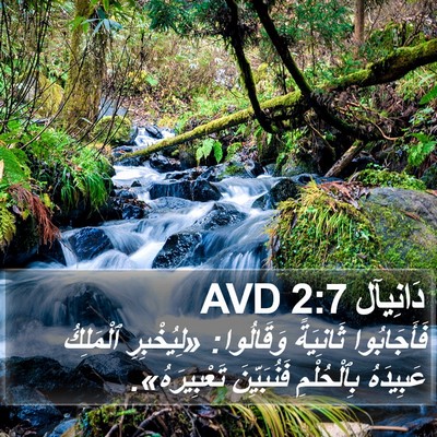 دَانِيآل 2:7 AVD Bible Verse Image
