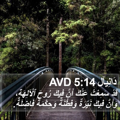 دَانِيآل 5:14 AVD Bible Verse Image