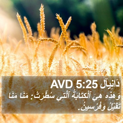 دَانِيآل 5:25 AVD Bible Verse Image