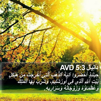 دَانِيآل 5:3 AVD Bible Verse Image