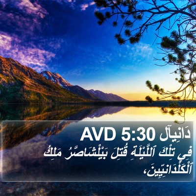 دَانِيآل 5:30 AVD Bible Verse Image