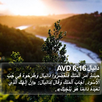 دَانِيآل 6:16 AVD Bible Verse Image