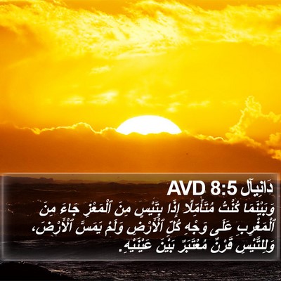 دَانِيآل 8:5 AVD Bible Verse Image