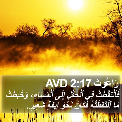 رَاعُوث 2:17 AVD Bible Verse Image