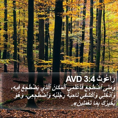 رَاعُوث 3:4 AVD Bible Verse Image