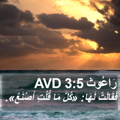 رَاعُوث 3:5 AVD Bible Verse Image