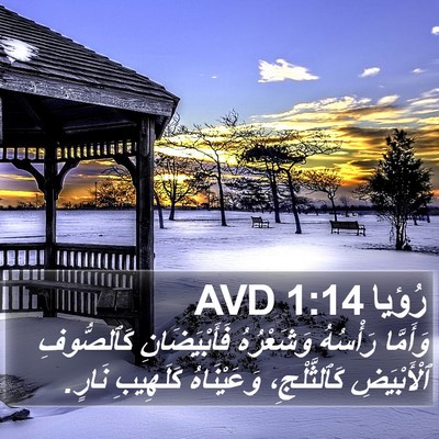 رُؤيا 1:14 AVD Bible Verse Image