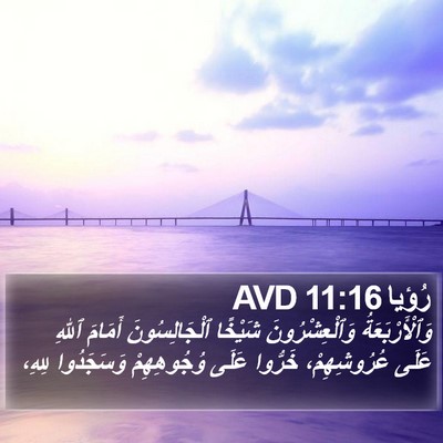 رُؤيا 11:16 AVD Bible Verse Image