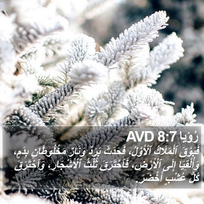 رُؤيا 8:7 AVD Bible Verse Image