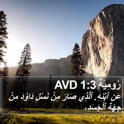 رُومِيَةَ 1:3 AVD Bible Verse Image