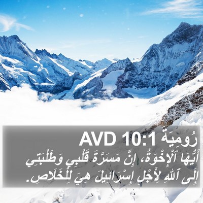 رُومِيَةَ 10:1 AVD Bible Verse Image