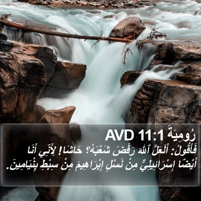 رُومِيَةَ 11:1 AVD Bible Verse Image