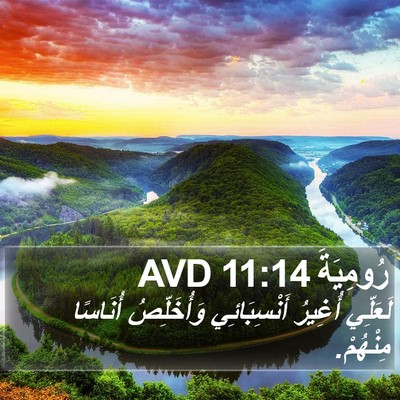 رُومِيَةَ 11:14 AVD Bible Verse Image