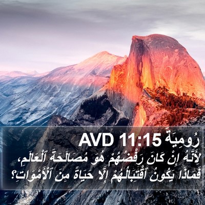 رُومِيَةَ 11:15 AVD Bible Verse Image