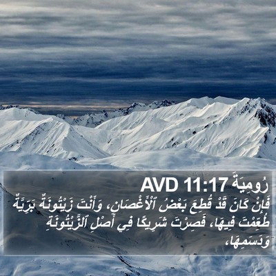 رُومِيَةَ 11:17 AVD Bible Verse Image