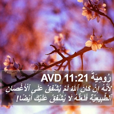 رُومِيَةَ 11:21 AVD Bible Verse Image