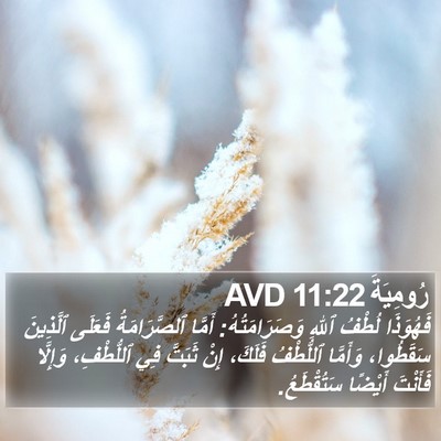 رُومِيَةَ 11:22 AVD Bible Verse Image